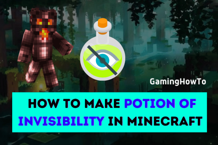 Invisibility Potion in Minecraft