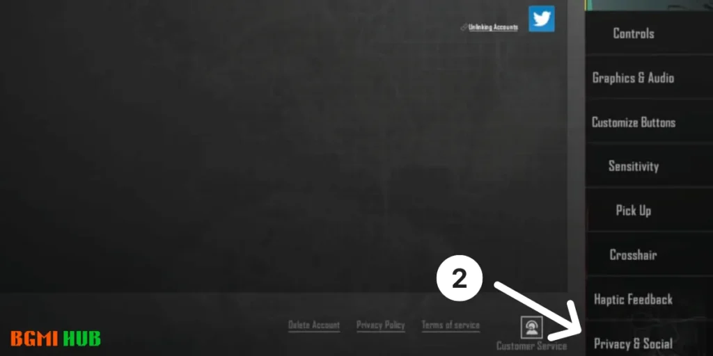 BGMI Privacy and Socail Settings