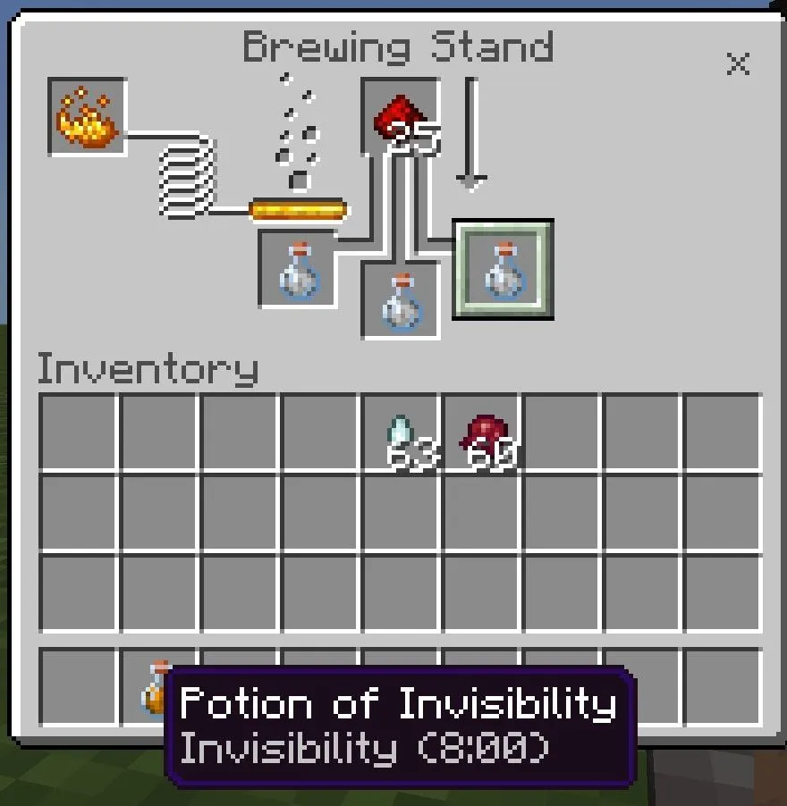 Invisibility Potion for 8 Min