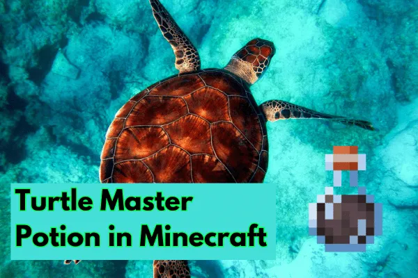Turtle Master Potion in Minecraft